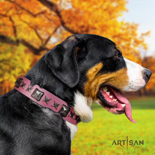 Swiss Mountain everyday walking genuine leather collar with adornments for your pet