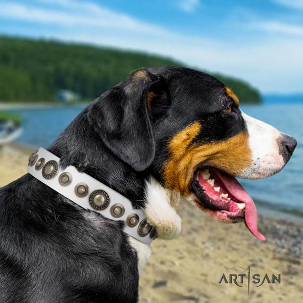 Swiss Mountain handy use full grain leather collar with decorations for your dog