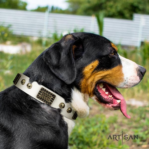 Swiss Mountain walking full grain natural leather collar with studs for your four-legged friend