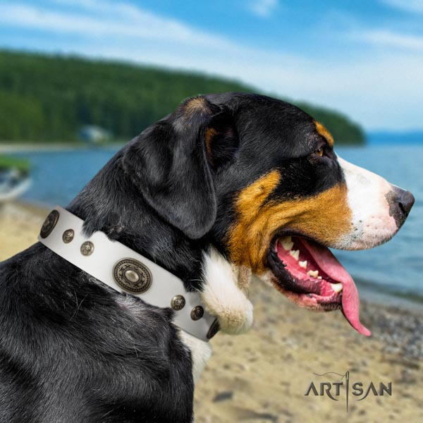 Swiss Mountain comfortable wearing full grain natural leather collar with adornments for your four-legged friend