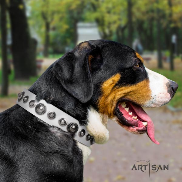 Swiss Mountain handy use leather collar with adornments for your pet