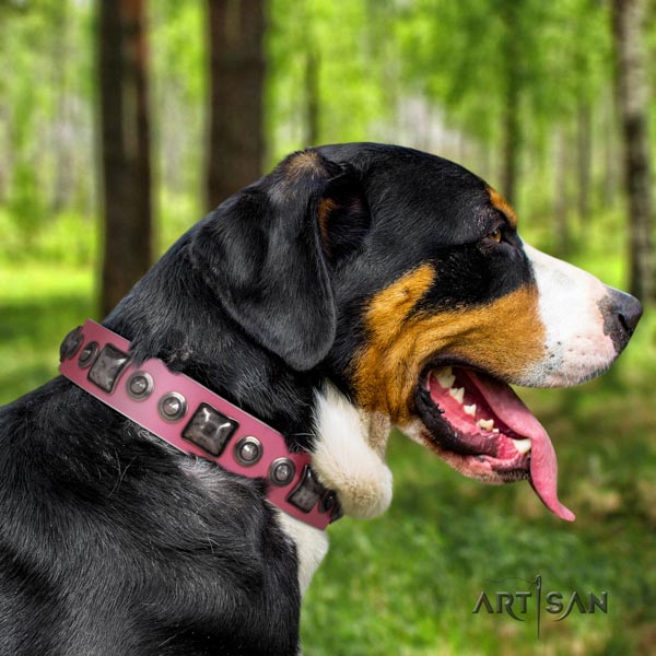 Swiss Mountain daily walking full grain leather collar with studs for your four-legged friend