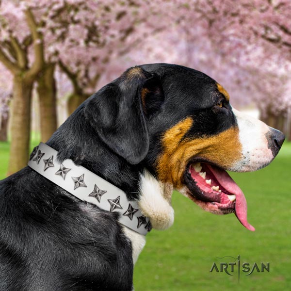 Swiss Mountain everyday walking full grain leather collar with embellishments for your doggie