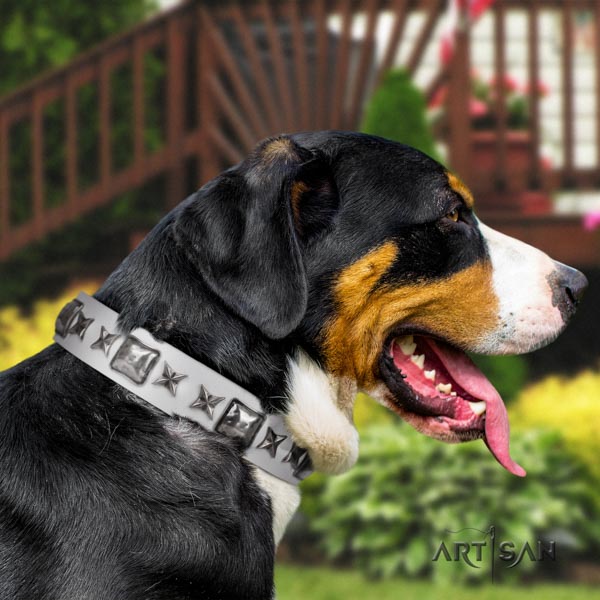 Swiss Mountain everyday use natural leather collar with adornments for your doggie