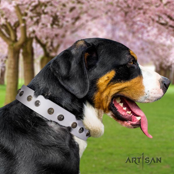 Swiss Mountain comfortable wearing natural leather collar with adornments for your four-legged friend