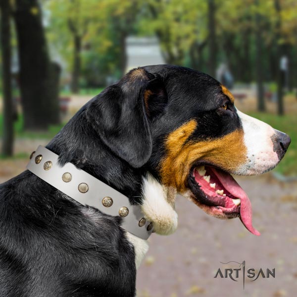 Swiss Mountain fancy walking leather collar with embellishments for your canine