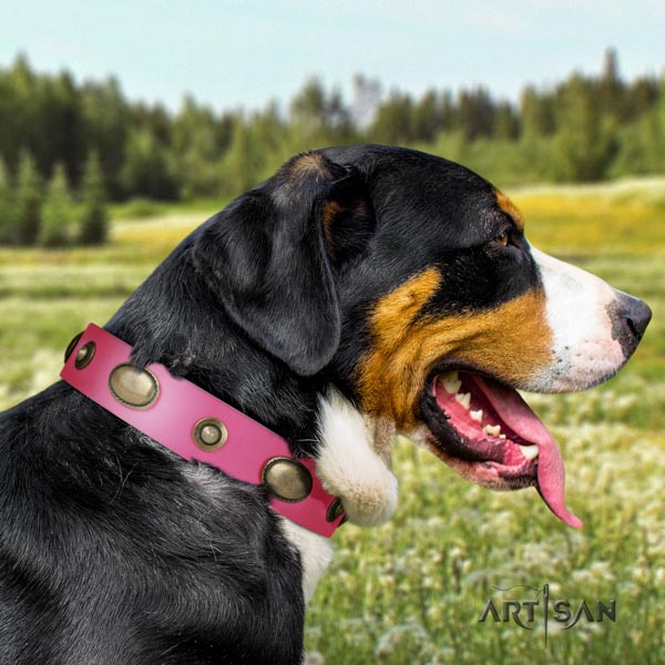 Swiss Mountain handy use full grain leather collar with embellishments for your four-legged friend