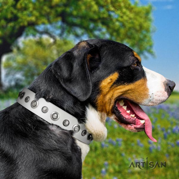 Swiss Mountain daily walking genuine leather collar with adornments for your four-legged friend