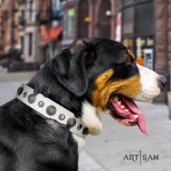 Swiss Mountain daily use full grain genuine leather collar with studs for your doggie