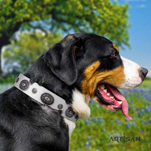 Swiss Mountain everyday walking full grain natural leather collar with decorations for your doggie