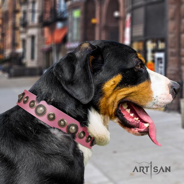Swiss Mountain basic training full grain natural leather collar with embellishments for your canine