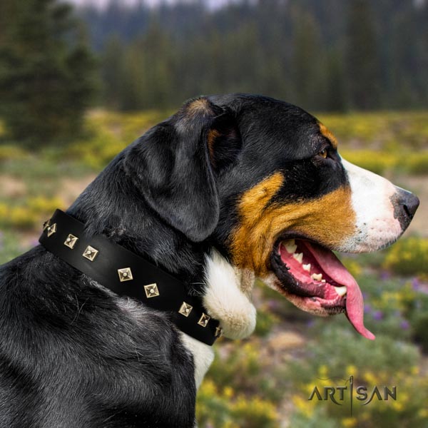 Swiss Mountain handy use leather collar with decorations for your canine