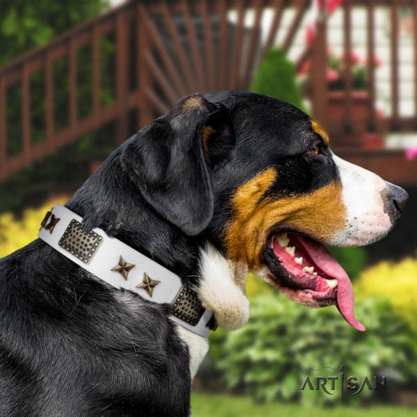 Swiss Mountain handy use full grain natural leather collar with studs for your doggie