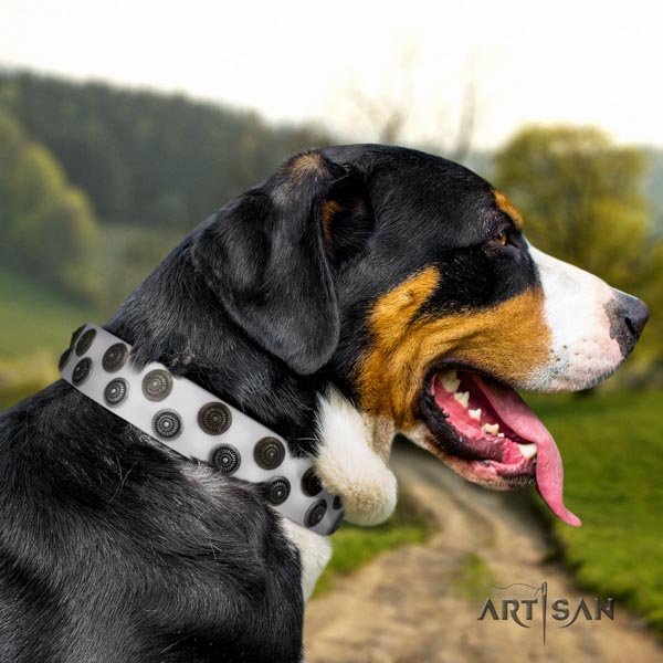 Swiss Mountain handy use full grain leather collar with studs for your canine