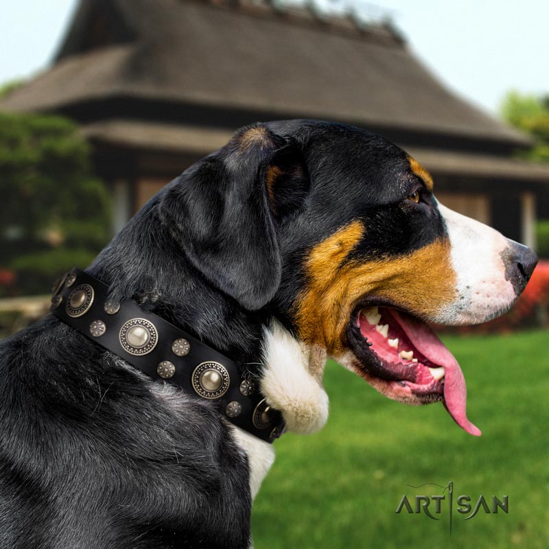 Swiss mountain dog collars sale