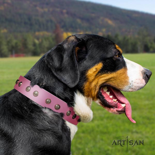 Swiss Mountain stylish walking leather collar with embellishments for your four-legged friend