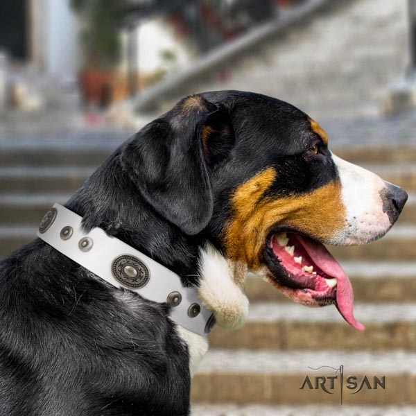 Swiss Mountain comfy wearing full grain leather collar with decorations for your pet