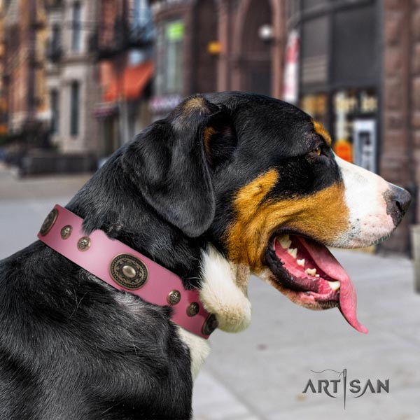 Swiss Mountain comfortable wearing full grain genuine leather collar with adornments for your canine