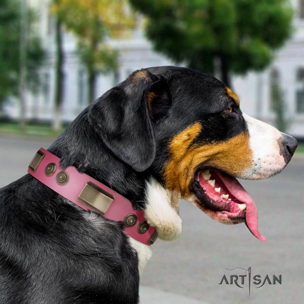 Swiss Mountain daily walking full grain natural leather collar with studs for your doggie