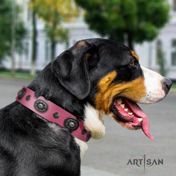 Swiss Mountain stylish walking genuine leather collar with decorations for your canine