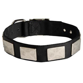 Swiss Mountain Dog Collar Nickel Vintage with Plates