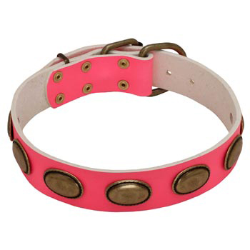 Pink Leather Swiss Mountain Dog Collar for Female Dogs