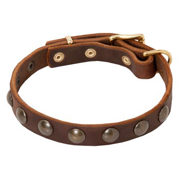 slim leather dog collar