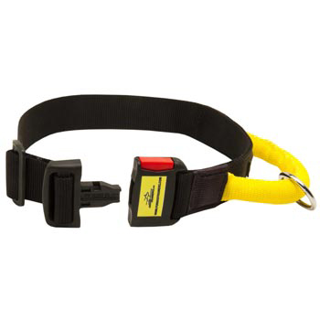 Nylon Swiss Mountain Dog Collar with Quick Release Buckle