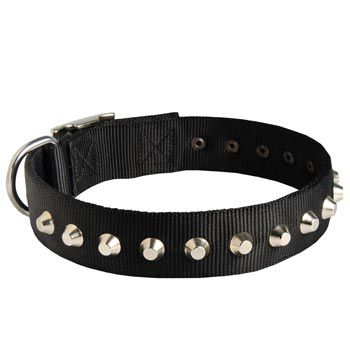 Walking Nylon Swiss Mountain Dog Collar Nickel Studded Waterproof