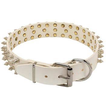 Spiked Leather Swiss Mountain Dog Collar