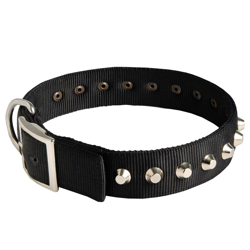 Bordeaux Leather Collar and Leash Set with Studs - BULLET