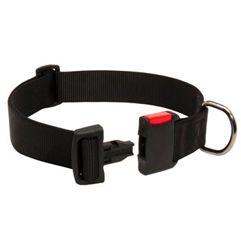 Reliable Nylon Swiss Mountain Dog Collar