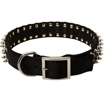 Swiss Mountain Dog Wide Dog Nylon Collar Spiked