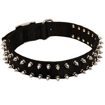 Swiss Mountain Dog Dog Nylon Collar Steel Nickel Plated Spikes