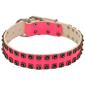 Studded Pink Leather Collar for Swiss Mountain Dog She-Dogs