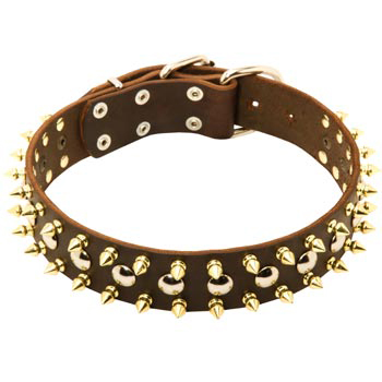 Leather Collar for Swiss Mountain Dog with Solid Fittings