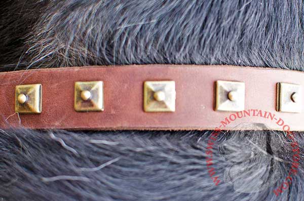 Brass Studs Amazing Proportional Decorative Elements