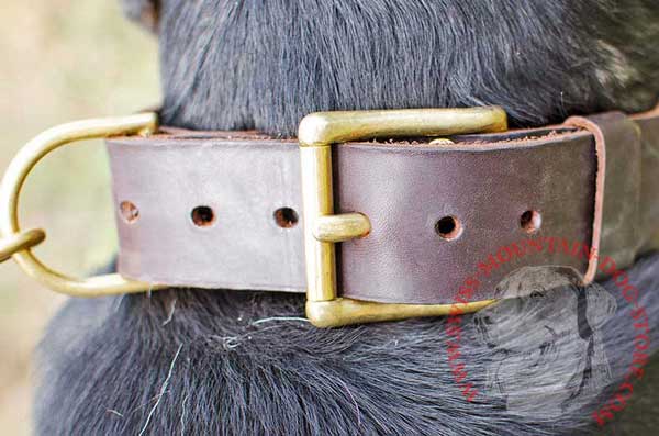 Gold-Colored Buckle and D-Ring Made of Brass Alloy