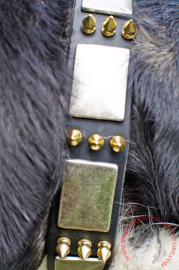 Awesome Embellishment - Brass Spikes and Nickel Plates