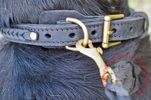 Brass Durable D-Ring Meant for Attachment of Dog Leash