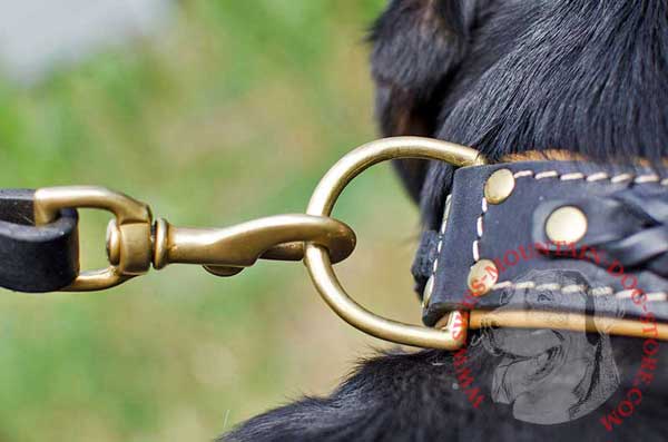 Smooth Brass Ring Riveted Securely to Never Fall Away