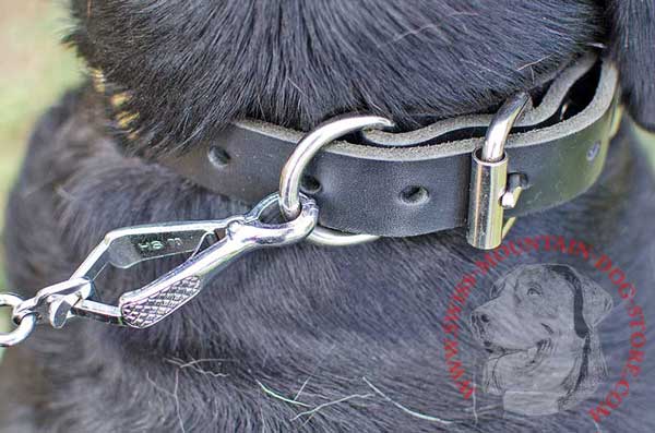 Leather Dog Buckle Collar with Metal Detail - Strong Ring for Leash
