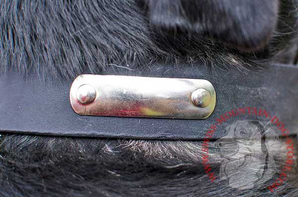 Metal Name Tag for Identification of Swiss Mountain Dog