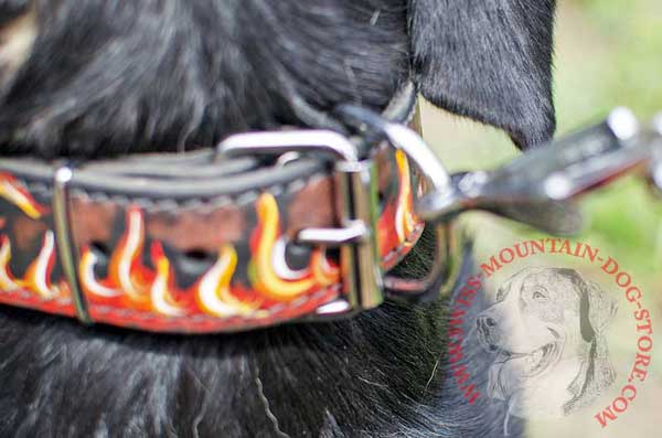 Securely Riveted Top Quality Metal Ring for Leash Clasping