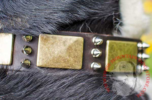 Nickel Plated Spikes and Brass Massive Plates - Fine Fittings