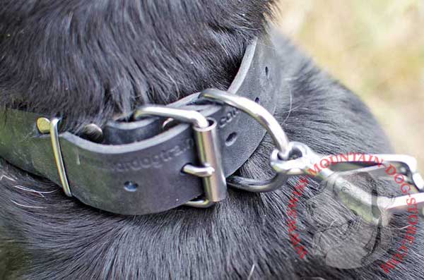Strong Sound Hardware Namely Ring for Leash and Tags