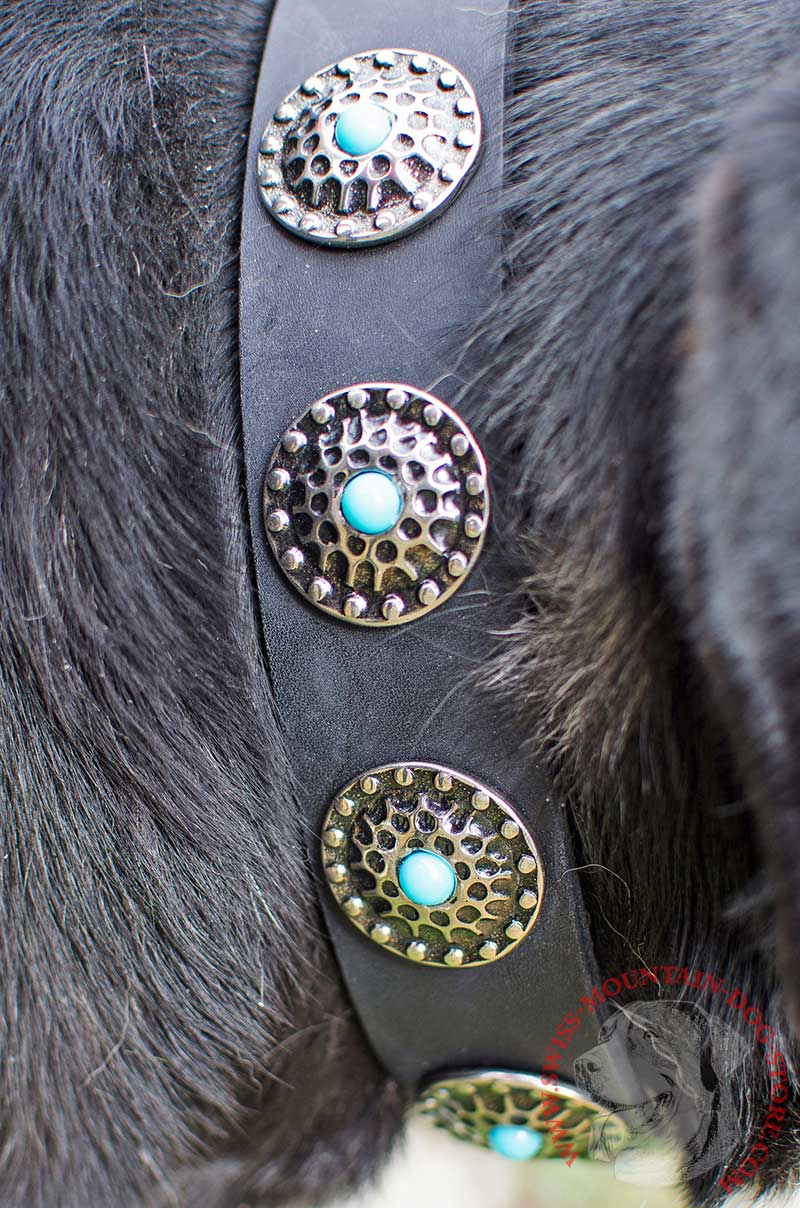 Get Leather Dog Collar, Blue Decorative Stones