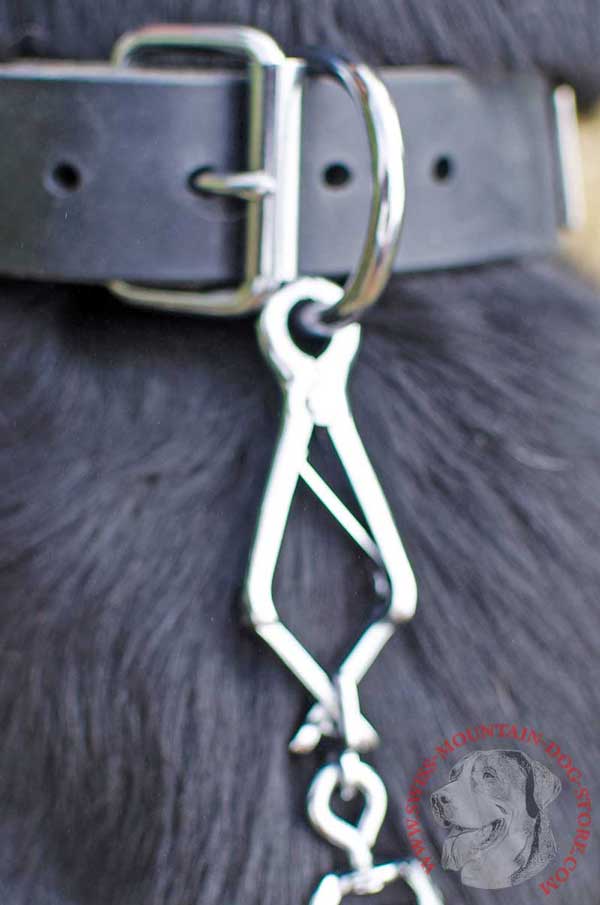 Metal Strong D-Ring Made of Steel and Plated with Nickel