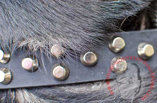 Pretty Decoration - Three Rows of Pyramids on Leather Dog Collar
