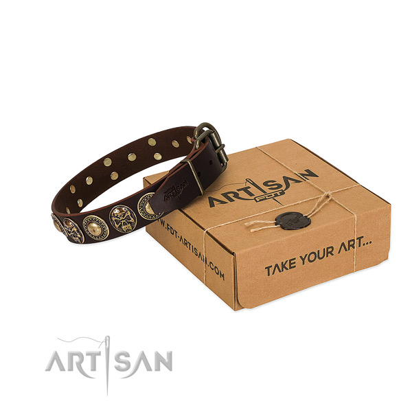 Corrosion proof studs on dog collar for stylish walking